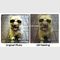 لوحات زيتية أصلية مخصصة ، صور حيوانات أليفة للكلاب من الصور الفوتوغرافية مقاس 16 × 16 بوصة
